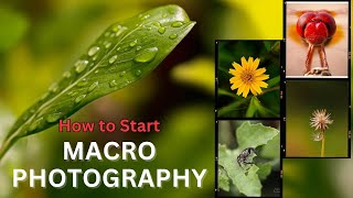 How to start Macro Photography  Macro Photography Accessories amp Gear  Explained in Hindi [upl. by Alleris]