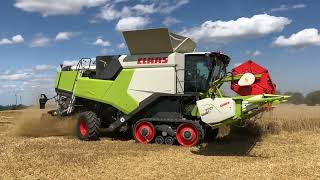 Claas Trion 750 Trion 730 Trion 660 and Trion 550 combines harvesting wheat in Germany [upl. by Yarak]