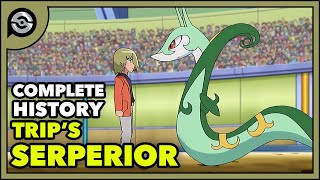 Trips Serperior From Snivy to POWERHOUSE  Complete History [upl. by Tenneb]