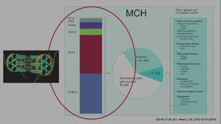 XXXIII Jornadas Calchaquíes de Cardiología Genética ¿Conocemos los Alcances de esta Herramienta [upl. by Ahsenhoj921]