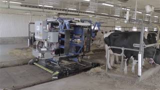 TieStall AMS Milking Robot by Milkomax [upl. by Lebasile]