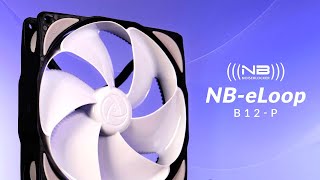 Blacknoise Noiseblocker NBeLoop B12P Review  The Original WTF Fan [upl. by Ramedlav141]