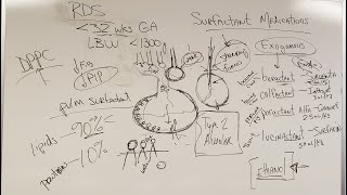 RT Clinic  Respiratory Pharmacology  Surfactant Therapy [upl. by Rosalia80]