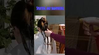 ASMR Spraying and Shampooing Long Hair [upl. by Normac]