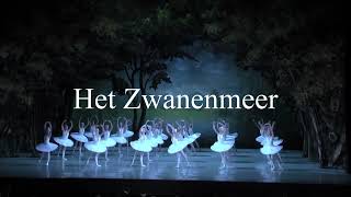 Zwanenmeer Nationale Ballet van Moldavië trailer movie [upl. by Eeslek]