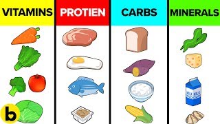 How The Six Basic Nutrients Affect Your Body [upl. by Ferrick661]