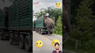 funny motha Hite🥰🥰shortvideo automobile [upl. by Aiuqes439]