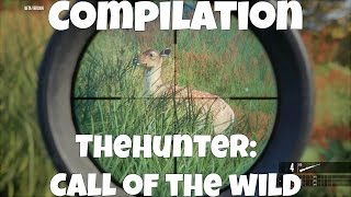 TheHunter Call of the Wild Beta  Kill Compilation [upl. by Bergren]