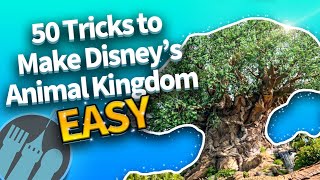 50 Easy Tricks That Make Disneys Animal Kingdom So Much Better [upl. by Westbrooke]