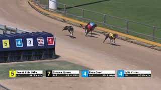 Gawler09102024Race9 [upl. by Buzz]