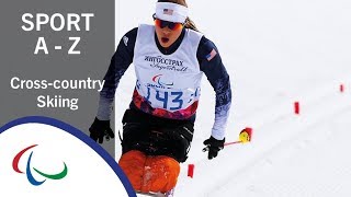 Sports of the Paralympic Winter Games CrossCountry Skiing [upl. by Yelmene]