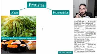 01  Protistas  Algas  Importância ecológica biocombustíveis [upl. by Okihsoy]