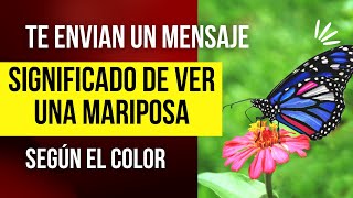 🦋 Significado Espiritual de la visita de una Mariposa según su Color ConexionMay [upl. by Sil]