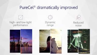 OmniVision PureCel® Technology Overview [upl. by Orban637]