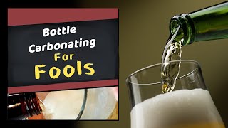 How to Bottle Carbonate Homebrew for Fools Beer Wine Cider amp Mead [upl. by Eula517]