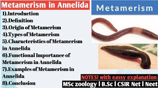 Metamerism in Annelida  Metamerism [upl. by Llemmart941]