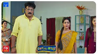 Rangula Ratnam Latest Promo  19th September 2024 in ETV Telugu at 730 PM  Mallemalatv [upl. by Smallman751]