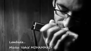 Kaoma  Lambada  Mızıka Harmonica  Vahid MOHAMMADI [upl. by Relyc849]