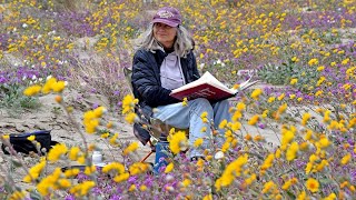 Judi Tentor at Borrego superbloom [upl. by Aynik]