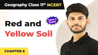 Class 11 Geography Chapter 6  Red and Yellow Soil  Soils [upl. by Nac]