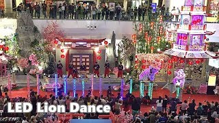 2019 Acrobatic LED Lion Dance [upl. by Dorwin]