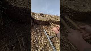 Relaxing sounds of thatching youtube sothingsounds beautiful shorts reels trending viral [upl. by Diana]