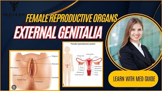 Female Reproductive Organs External Genitaliahumananatomy biology science nursingstudent [upl. by Moulton]