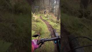 Steep MTB trails at Aberfoyle Mountain bike Enduro trails mtb mtbpov mountainbiker mtbrider [upl. by Llerdnam]