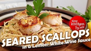 Seared Scallops in a LemonWhite Wine Sauce  Tiny Kitchen Big Taste [upl. by Stoecker]