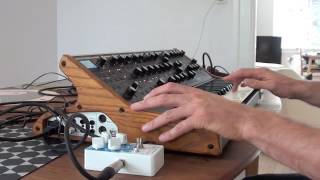 Moog Sub 37  Earthquaker Devices Dispatch Master [upl. by Gabrielle]