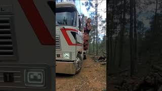 Custom cabover logging truck on narrow road automobile americantrucks trailer [upl. by Leschen537]