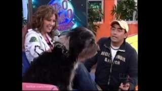 THALIA reencontra o cachorro PULGUENTO depois de 10 anos  by renaron [upl. by Labaw]