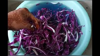 What happens when you wash purple cabbage [upl. by Betty]