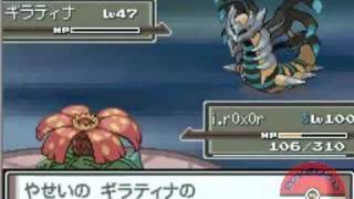 Pokemon Platinum  First Ever Shiny Origin Forme Giratina Encounter [upl. by Geoffry]