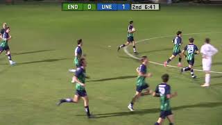 Endicott Mens Soccer Highlights vs UNE 102924 Fisher Mills x2 [upl. by Ainotal]