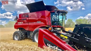 Case IH 9250 AxialFlow Combine Harvesting Wheat [upl. by Yzmar]