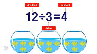 What is Division Grade 3 [upl. by Flannery]