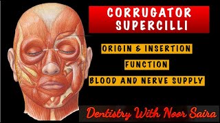 CORRUGATOR SUPERCILLI MUSCLE SIMPLIFIED  ORIGININSERTIONINNERVATION AND FUNCTION MADE EASY [upl. by Joleen790]