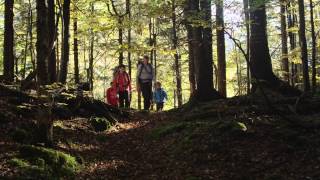 Urlaub in Ruhpolding  Sommer amp Winteraktivitäten in den Bayerischen Alpen [upl. by Klos190]