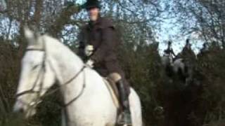 Island Foxhounds  Hunting in Ireland [upl. by Boggs]