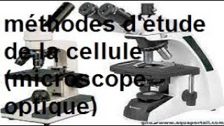 cytologie  les méthodes détude de la cellule les microscopes photoniques [upl. by Akemehs]