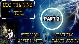 COONHOUND TRAINING TIPS [upl. by Cut377]