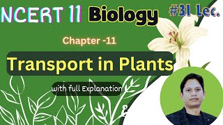 Transport in Plants  Class 11 Biology Made Easy  NCERT Explained [upl. by Nereen932]