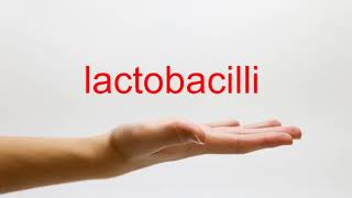 How to Pronounce lactobacilli  American English [upl. by Rebba822]