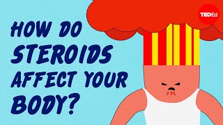 How do steroids affect your muscles— and the rest of your body  Anees Bahji [upl. by Hallam970]