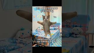 Un día feriado festivo gatitos shorts storytime humor memes [upl. by Modla53]