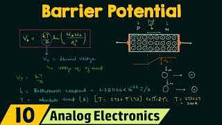 Barrier Potential [upl. by Wells]