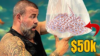 THE CRAZIEST FISH UNBOXING  I ALMOST GOT MY DREAM FISH😩 [upl. by Filippa]