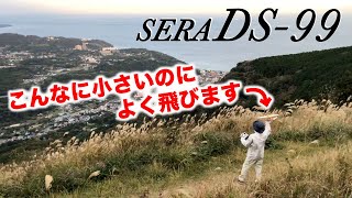 SERA DS99 セラ DS−９９ よく飛びます！ [upl. by Icak]