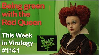 TWiV 1141 Being green with the Red Queen [upl. by Virnelli893]